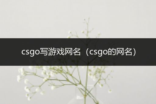 csgo写游戏网名（csgo的网名）