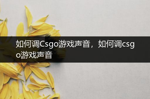 如何调Csgo游戏声音，如何调csgo游戏声音