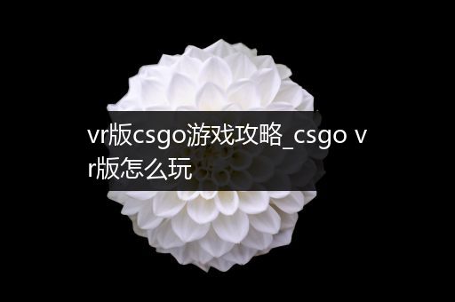 vr版csgo游戏攻略_csgo vr版怎么玩