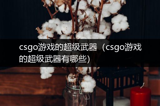 csgo游戏的超级武器（csgo游戏的超级武器有哪些）