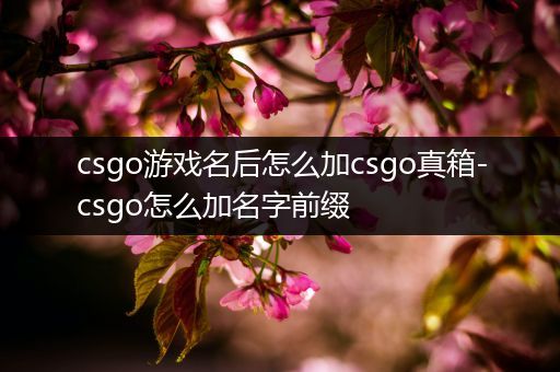 csgo游戏名后怎么加csgo真箱-csgo怎么加名字前缀