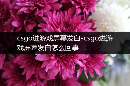 csgo进游戏屏幕发白-csgo进游戏屏幕发白怎么回事