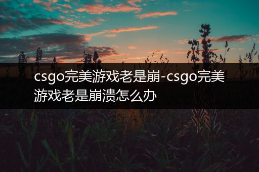 csgo完美游戏老是崩-csgo完美游戏老是崩溃怎么办
