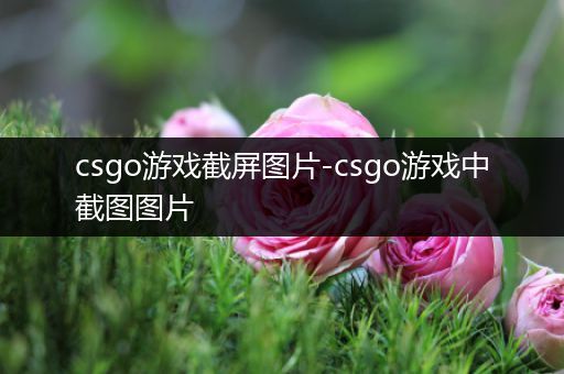 csgo游戏截屏图片-csgo游戏中截图图片
