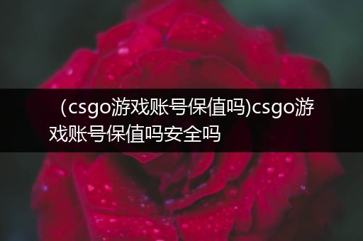 （csgo游戏账号保值吗)csgo游戏账号保值吗安全吗