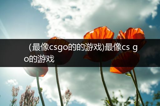（最像csgo的的游戏)最像cs go的游戏