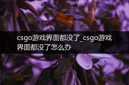 csgo游戏界面都没了_csgo游戏界面都没了怎么办