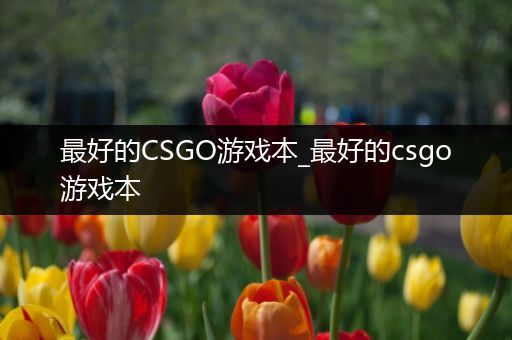 最好的CSGO游戏本_最好的csgo游戏本