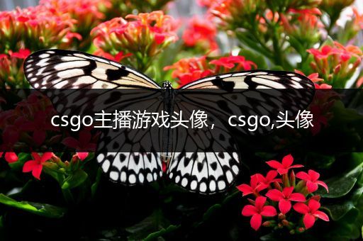 csgo主播游戏头像，csgo,头像
