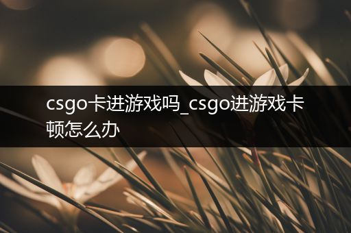 csgo卡进游戏吗_csgo进游戏卡顿怎么办