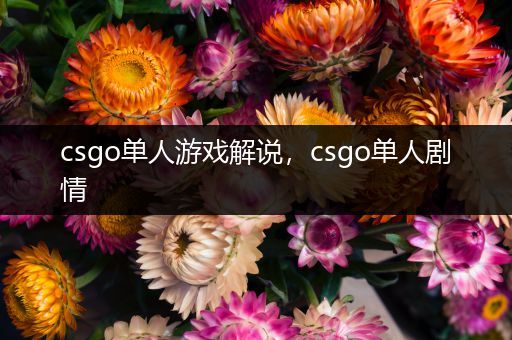 csgo单人游戏解说，csgo单人剧情