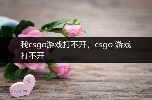 我csgo游戏打不开，csgo 游戏打不开