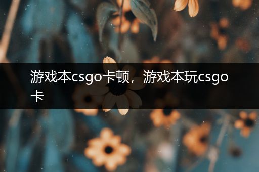 游戏本csgo卡顿，游戏本玩csgo卡