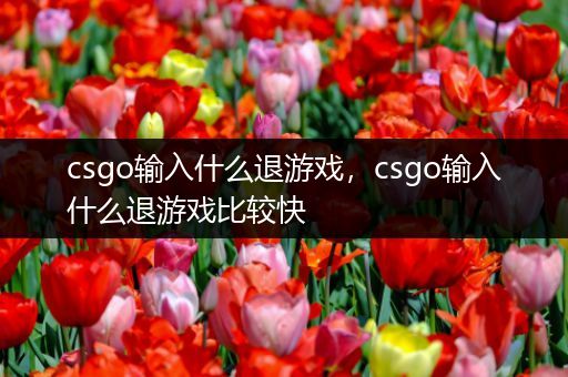 csgo输入什么退游戏，csgo输入什么退游戏比较快