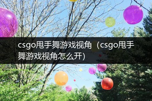 csgo甩手舞游戏视角（csgo甩手舞游戏视角怎么开）
