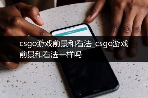 csgo游戏前景和看法_csgo游戏前景和看法一样吗