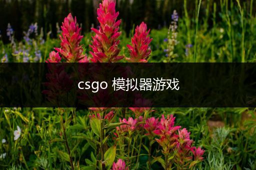 csgo 模拟器游戏