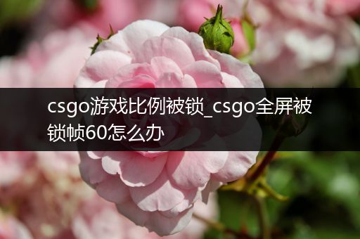 csgo游戏比例被锁_csgo全屏被锁帧60怎么办
