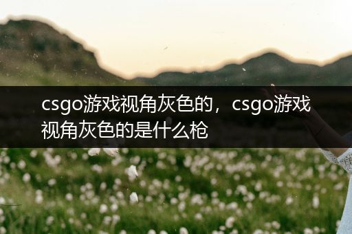 csgo游戏视角灰色的，csgo游戏视角灰色的是什么枪