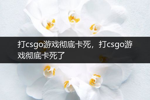 打csgo游戏彻底卡死，打csgo游戏彻底卡死了