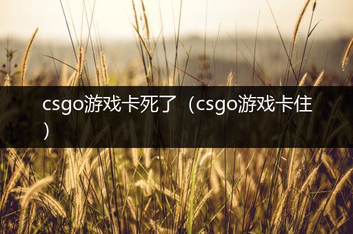 csgo游戏卡死了（csgo游戏卡住）