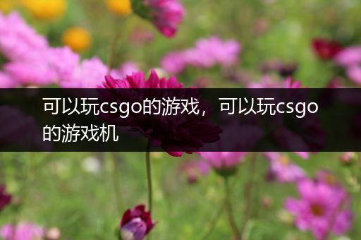 可以玩csgo的游戏，可以玩csgo的游戏机
