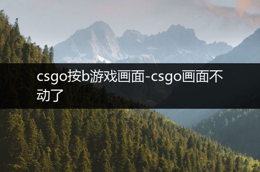 csgo按b游戏画面-csgo画面不动了