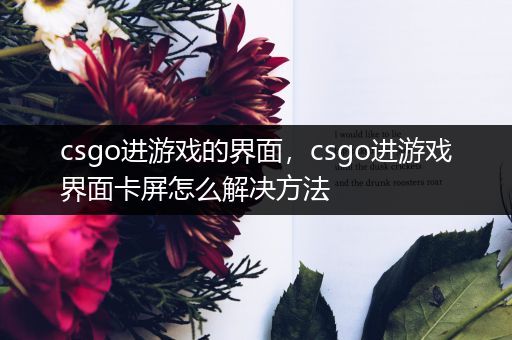 csgo进游戏的界面，csgo进游戏界面卡屏怎么解决方法