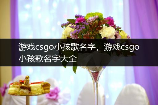 游戏csgo小孩歌名字，游戏csgo小孩歌名字大全