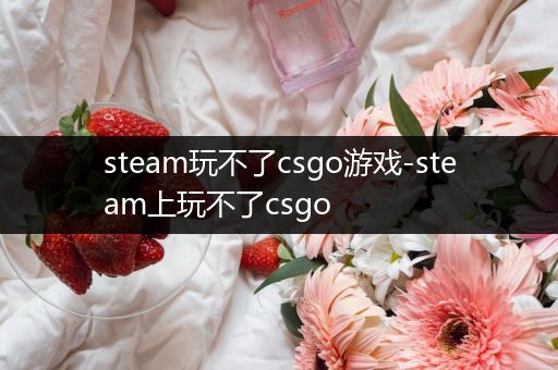 steam玩不了csgo游戏-steam上玩不了csgo