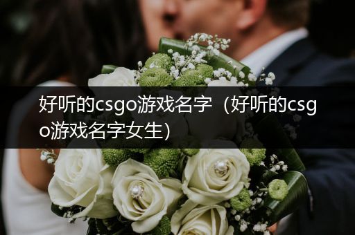 好听的csgo游戏名字（好听的csgo游戏名字女生）