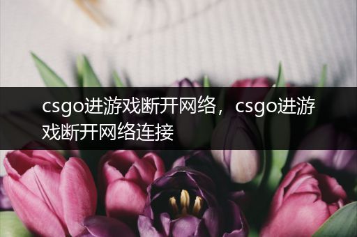 csgo进游戏断开网络，csgo进游戏断开网络连接