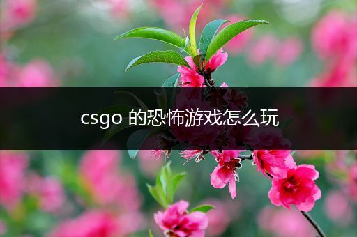 csgo 的恐怖游戏怎么玩