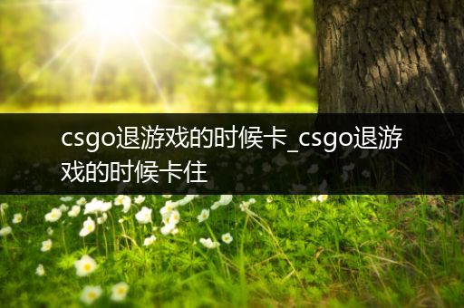 csgo退游戏的时候卡_csgo退游戏的时候卡住