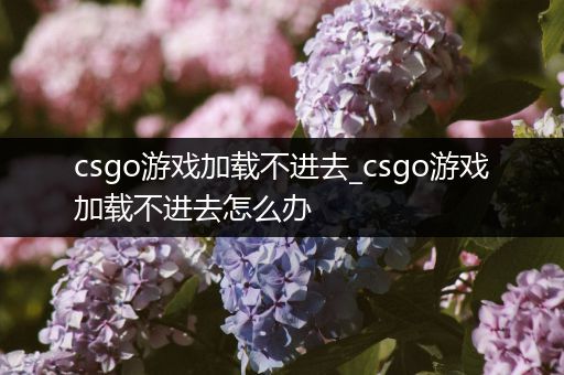 csgo游戏加载不进去_csgo游戏加载不进去怎么办