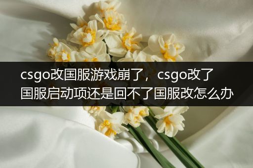 csgo改国服游戏崩了，csgo改了国服启动项还是回不了国服改怎么办