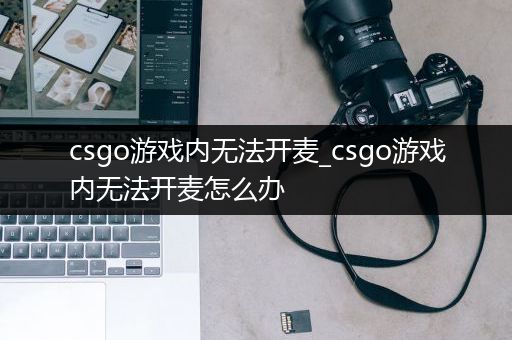 csgo游戏内无法开麦_csgo游戏内无法开麦怎么办