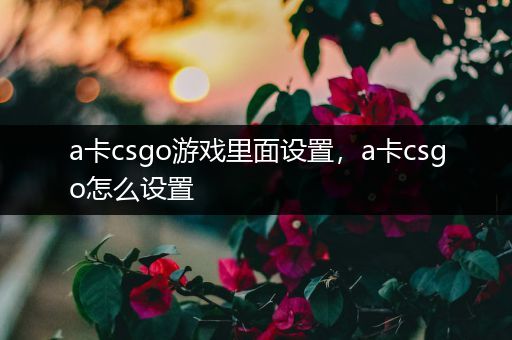 a卡csgo游戏里面设置，a卡csgo怎么设置