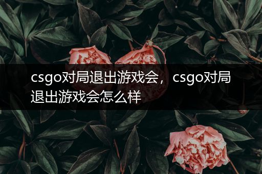 csgo对局退出游戏会，csgo对局退出游戏会怎么样