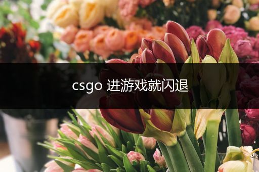 csgo 进游戏就闪退