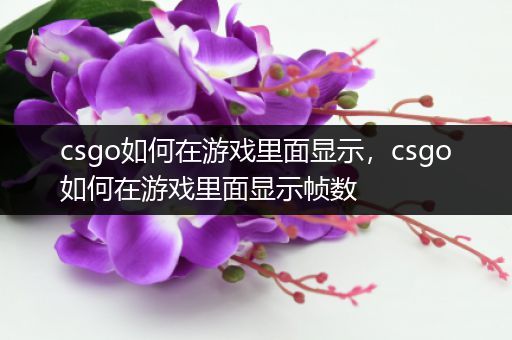 csgo如何在游戏里面显示，csgo如何在游戏里面显示帧数