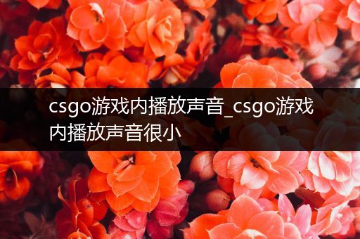 csgo游戏内播放声音_csgo游戏内播放声音很小