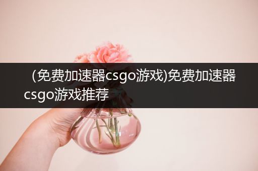 （免费加速器csgo游戏)免费加速器csgo游戏推荐