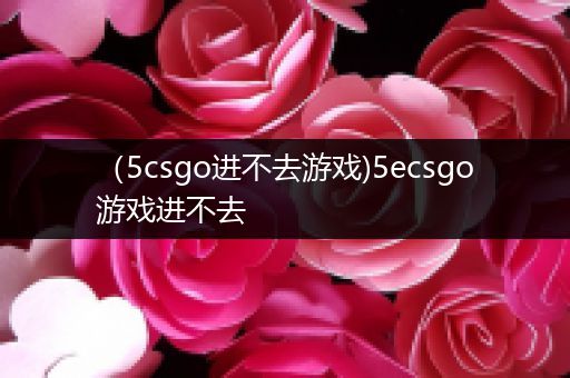 （5csgo进不去游戏)5ecsgo游戏进不去