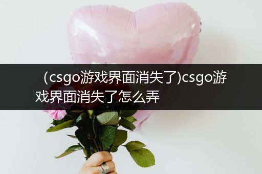 （csgo游戏界面消失了)csgo游戏界面消失了怎么弄