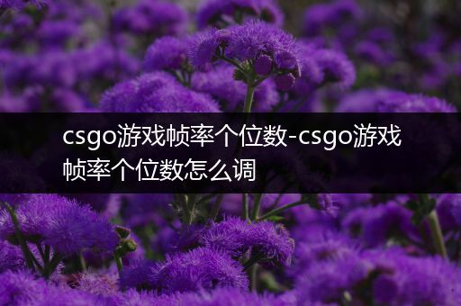 csgo游戏帧率个位数-csgo游戏帧率个位数怎么调