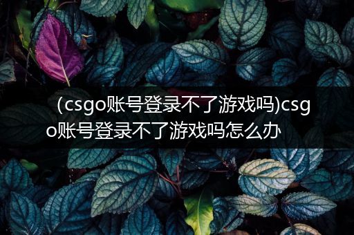（csgo账号登录不了游戏吗)csgo账号登录不了游戏吗怎么办