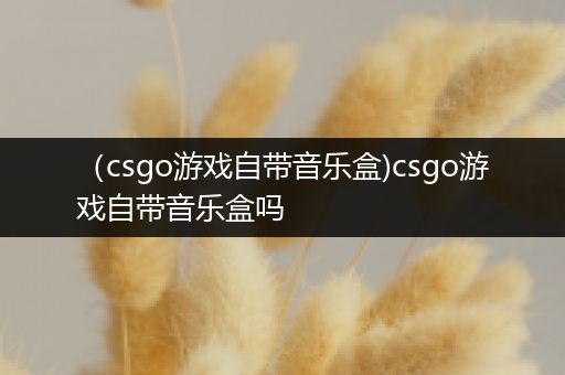 （csgo游戏自带音乐盒)csgo游戏自带音乐盒吗