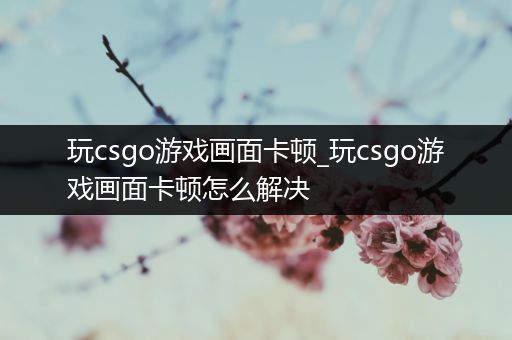 玩csgo游戏画面卡顿_玩csgo游戏画面卡顿怎么解决