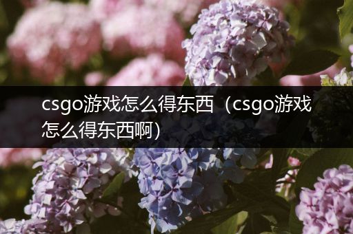 csgo游戏怎么得东西（csgo游戏怎么得东西啊）